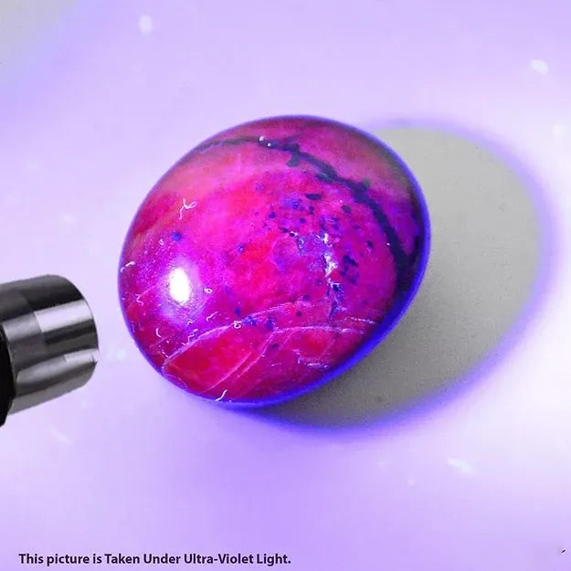 74.40 Ct Natural Star Ruby Top Quality 23x19mm Huge Oval Cabochon Loose Gemstone DF019